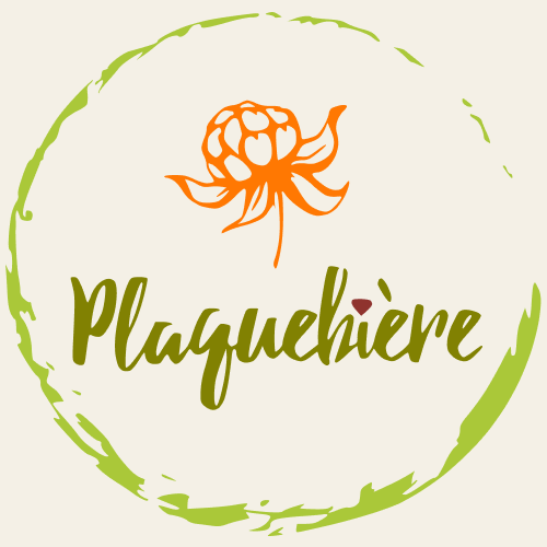Plaquebière