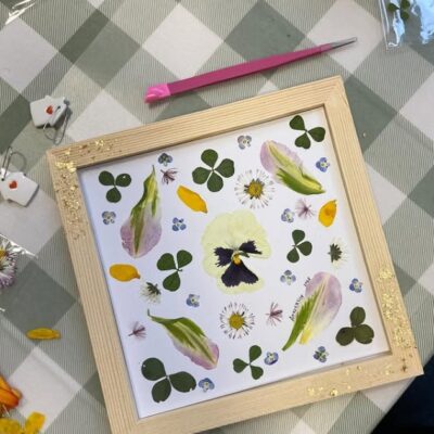 Composition artistique de fleurs séchées encadrées sur fond blanc, posée sur une nappe à carreaux